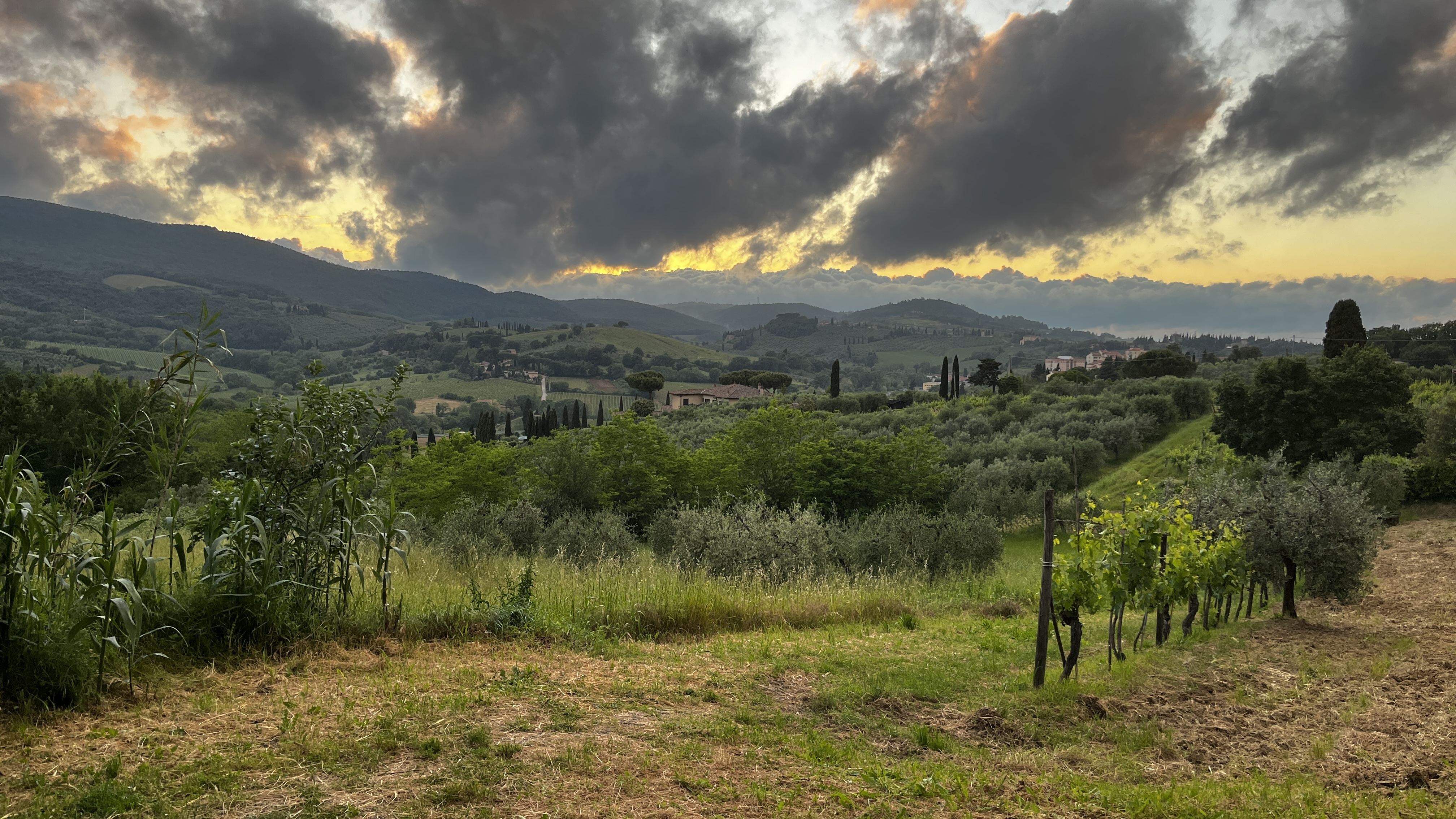 San Gimignano